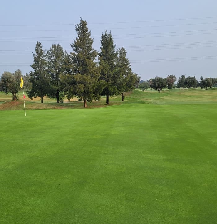 Green de un campo de golf con la bandera sobre el hoyo