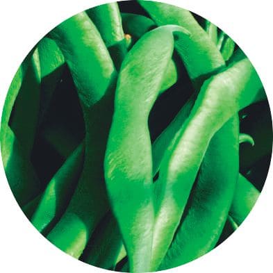 Vainas de judía verde