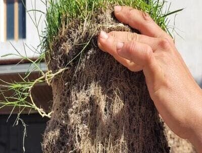 Muestra de césped con raíces y tierra sostenida con la mano